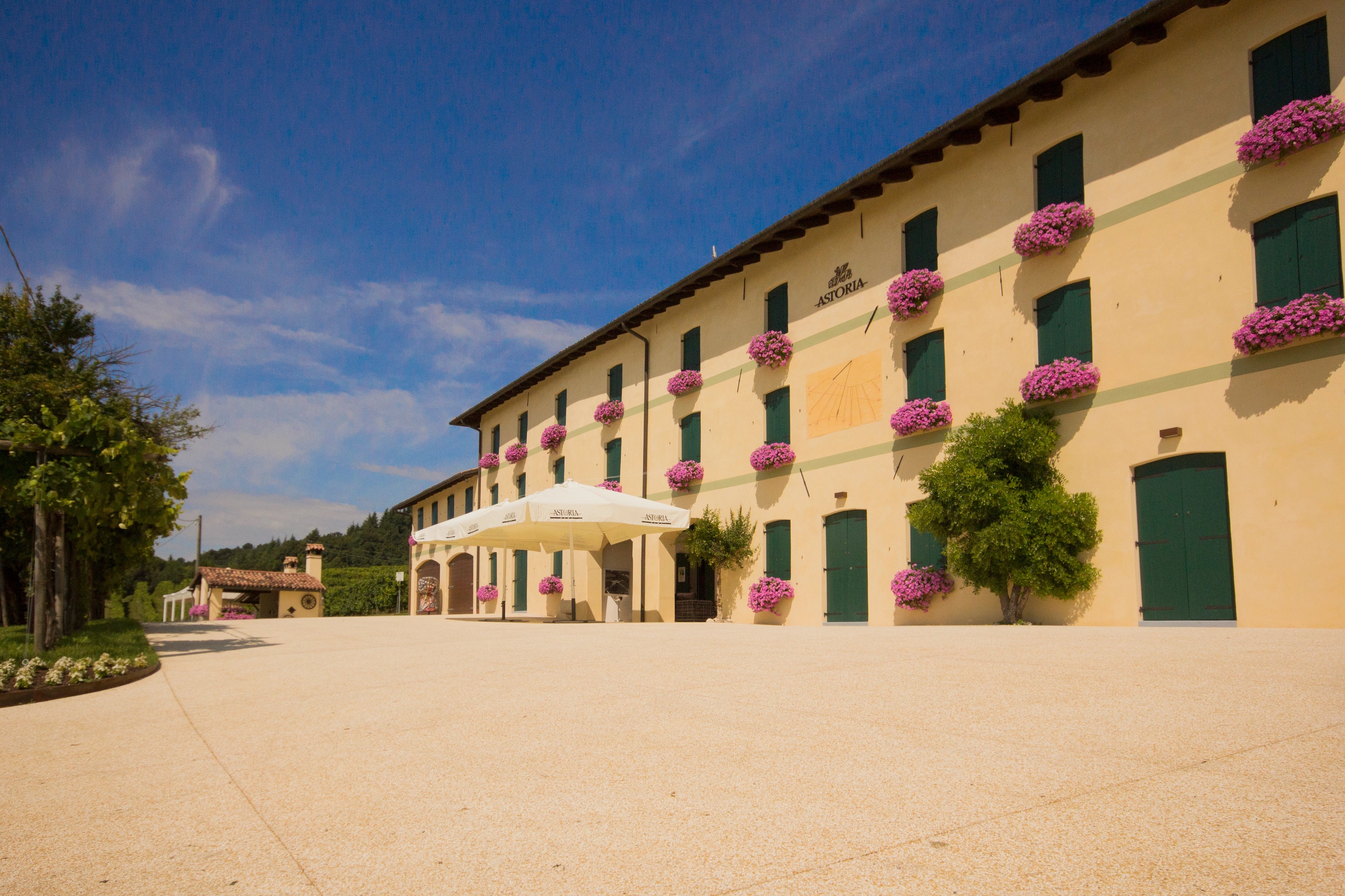 Astoria gul Vinkjeller 